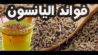 فوائد بذور حبة حلاوة اليانسون الأنيسونGRAINES PIMPINELLA ANISUM [upl. by Saphra]