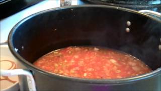 HOME CANNING SALSA  GO ORGANIC  Keep the Art of Canning Alive [upl. by Aron]