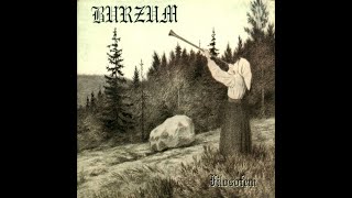 Erblicket Die Töchter Des Dirmaments  Burzum Cover [upl. by Orimar461]