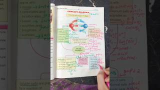 Acidsbases and Salts Formation and types Chemistry Class 10 [upl. by Vidovic654]