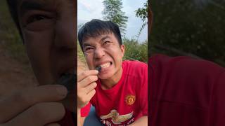 Bad breath is very simple to overcome🪵camping outdoors bushcraft survival [upl. by Ian]