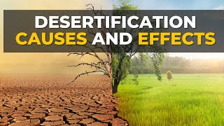 Desertification Causes and Effects  Desertification  What Is Desertification [upl. by Lamrej]