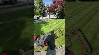 Laying down the stripes with the Kress Commercial 60V lawn mower [upl. by Philana585]