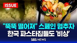 quot뚝뚝 떨어져quot 스페인 멈추자…한국 파스타집들도 비상 이슈라이브  SBS [upl. by Airaet]