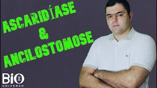 ASCARIDÍASE amp ANCILOSTOMOSE  Parasitologia  ENEM e Vestibulares [upl. by Bonnes]