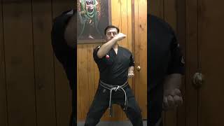 Blocking Set 1 in Kenpo Karate  Yellow Belt Kenpo Requirements kenpo kenpokarate martialarts [upl. by Rica]