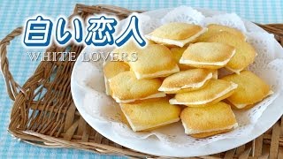 5 Ingredients Shiroi Koibito Chocolat Blanc et Langue de Chat Recipe  OCHIKERON [upl. by Ahmed]