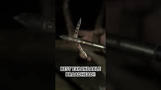 BEST EXPANDABLE BROADHEAD  Rek HXP Putting them down [upl. by Leifer]