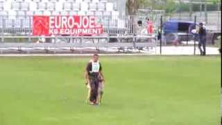 Orcan vom Further Moor Obedience FMBB 2013finals [upl. by Harmony]