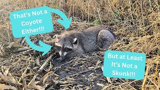 Out On The Line 2023 Ep 8  More Skunks [upl. by Zamora589]