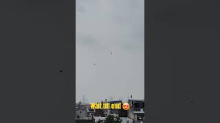 Kite Festival 2024  Kites Covers Sky  Patang Festival [upl. by Ev]