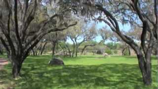 Kilimanjaro Safaris at Disneys Animal Kingdom [upl. by Foote847]