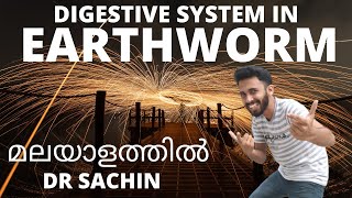 digestive system in earthworm  malayalam  anatomy of earthworm  class 11  knowledge vlogger [upl. by Sokem]