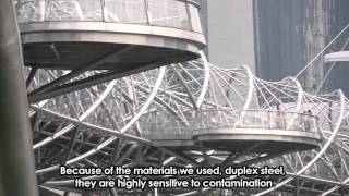 Singapore Iconic Bridges  The Helix [upl. by Reece]