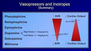 Shock Lesson 5  Pressors [upl. by Eilojne]