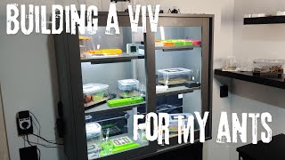 Building a Viv for my ants vivarium [upl. by Lizned862]