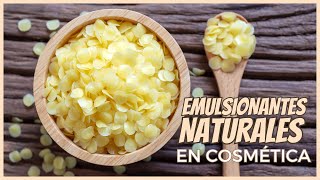 ¿Qué EMULSIONANTES MÁS NATURALES podemos comprar 🍯 🍃 Cosmética Natural [upl. by Zipporah]