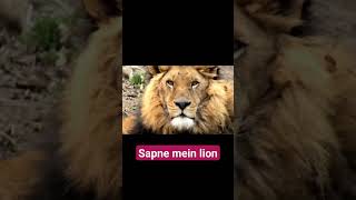 Sapne mein lion dekhna sapne mein sher dekhna [upl. by Enel]