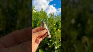 ASMR ☀️ Enjoying a Flying Pig Maduro cigar by Drew Estate 🪽🐷 cigar asmr shorts relaxing vibes [upl. by Lynnell]