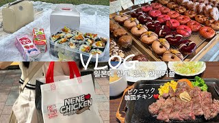 【vlog】早起きしてキンパ作り💕ピクニック💫新大久保でチキンお持ち帰り🐓休日デート [upl. by Katt]