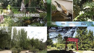 Paseos con encanto T1E25 Jardines botánicos [upl. by Adnohsad]