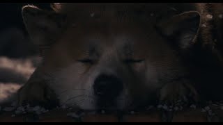 Hachis last moments Movie clip quotHachi A Dogs Talequot [upl. by Aerb963]