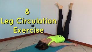 8 Leg Circulation Exercise [upl. by Nitsugua]