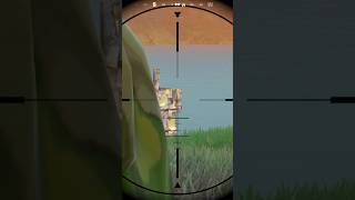 Fortnite Players Can’t Get Enough of Peekaboo [upl. by Idnarb]