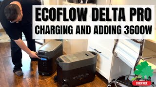 How to Charge and Add an Extra Smart Battery to Your EcoFlow DELTA Pro [upl. by Godfry]