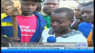 ‘Simba’ and ‘Messi’ battle for the crown in the annual Kakamega bullfight festival [upl. by Notgnihsaw]