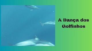 A Dança dos Golfinhos [upl. by Phipps252]