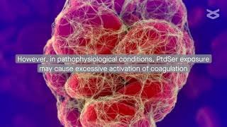 Phosphatidylserine inside out inflammation and coagulation abnormalities in COVID19 [upl. by Brittney876]