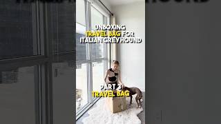 Traveling with IGGY  Part 3 unboxing of travel bag [upl. by Allisan]