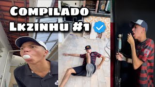 Melhores Vídeos de Lkzinhu Compilados de Tik Tok 1 [upl. by Andras215]