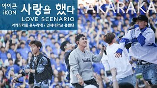 iKON Love Scenario live  아이콘 사랑을 했다 떼창  Fanchant Fancam  AKARAKA 2018 아카라카 연세대 축제 [upl. by Gautier]