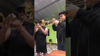 Celebremos con gusto señores Trompetas Mariachi 🎺🔥 [upl. by Arlana]