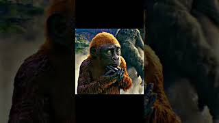 Kong 🦍🦍 kingkong kong edit animals marvel power godzillavskong godzillaxkongthenewempire [upl. by Rania]