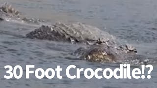 30 Foot Crocodile Seen in Philippines [upl. by Aleakim]