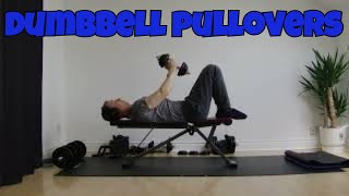 Dumbbell Pullovers  Upper Body Exercise [upl. by Lexine]