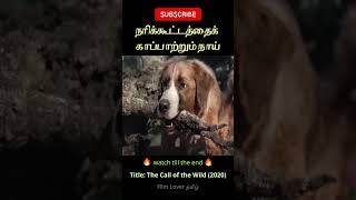 This dog saves fox from drowning short movie voiceover tamil film fun shorts trending reels [upl. by June479]