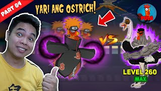 Akatchuki Nilabanan Ang Ostrich Natalo  Manok na Pula [upl. by Dannon]