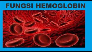 Hemoglobin Fungsi Nilai Normal Nilai Tidak Normal [upl. by Ycal231]