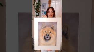 Eurasier in Pastell auf Velourpapier realisticdrawing eurasier [upl. by Honeywell116]