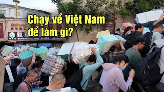 Tiểu thương Trung Quốc chen lấn đổ xô sang Việt Nam từ sớm để làm gì [upl. by Anaul]