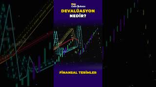 DevalÃ¼asyon nedir  Finansal Terimler shorts [upl. by Fairfield]