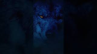 Snarling epic wolf snarlingwolf aicontentcreator wolf wolfhowlinginthedark aiart wallpaper [upl. by Pinelli]