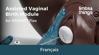 Assisted Vaginal Birth AVB for PROMPT Flex French subtitles [upl. by Enileuqaj877]