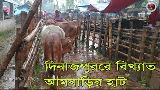 Dinajpur ambari Hat 2020  দিনাজপুর আমবাড়ি হাট Bye Moja Masti Vlogs [upl. by Notsirt]