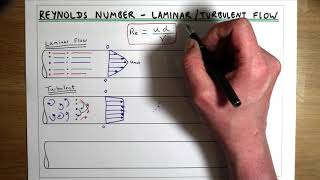 Laminar Flow Turbulent Flow and Reynolds Number [upl. by Silohcin525]