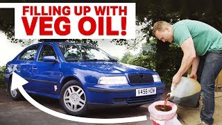 The Pros amp Cons Of Running An Old Diesel On Used Vegetable Oil [upl. by Nordek]